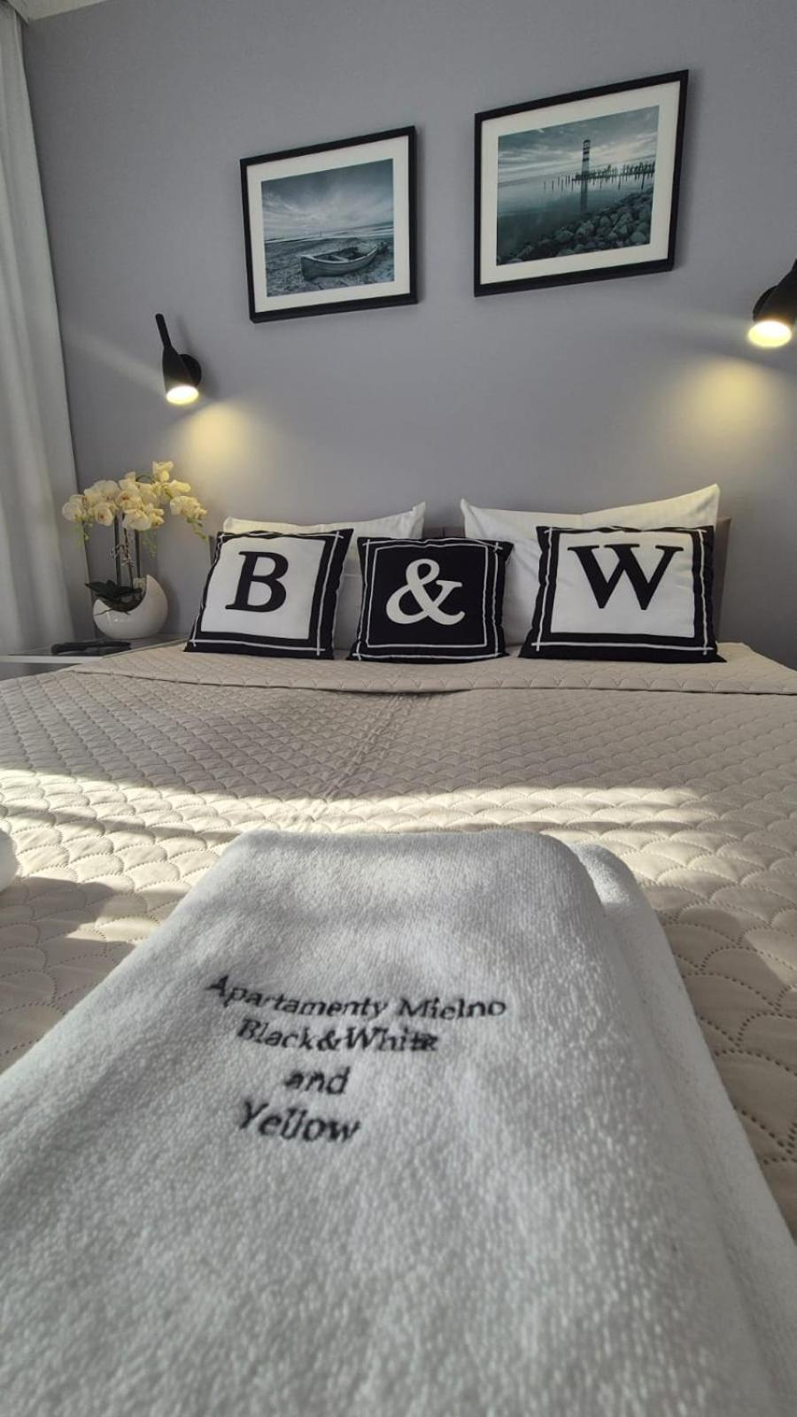 Apartament Black-White Mielno  Exteriör bild